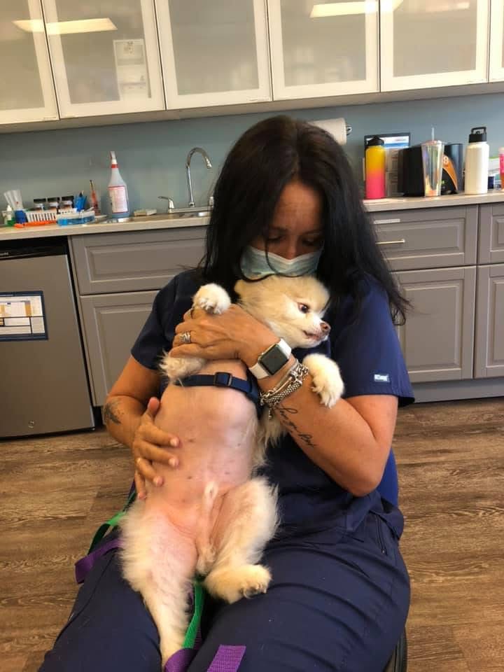 Veterinarian cuddling a small dog in a clinic.